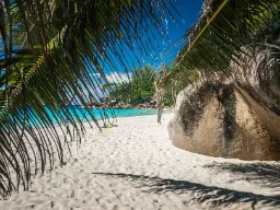 Palmy, klify, piasek i woda