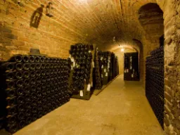 Więcej butelek szampana dojrzewających w Épernay