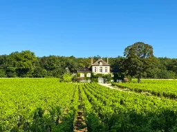 Urokliwa restauracja z własnymi winnicami