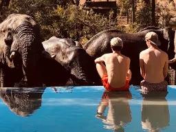 Swobodne obserwowanie