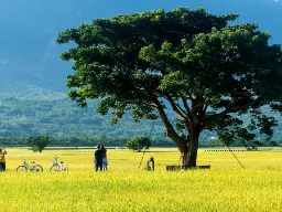 Przejażdżka rowerowa w Chishang w prowincji Taitung Przejażdżka rowerowa w Chishang w prowincji Taitung