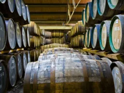 Beczki whisky do leżakowania