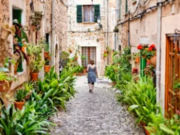 Klimatyczne zdjęcie z Palmy Klimatyczne zdjęcie z Palmy