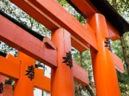 Bramy torii często stanowią wejście do świątyń shinto