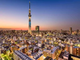 Panoramiczny widok na Tokio z ikoniczną wieżą Tokyo Skytree w centrum Panoramiczny widok na Tokio z ikoniczną wieżą Tokyo Skytree w centrum