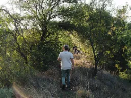 Spacer po buszu Spacer po buszu