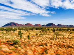 The Olgas składa się z 36 kopulastych formacji skalnych The Olgas składa się z 36 kopulastych formacji skalnych