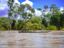 Miejscowi w łodzi płynący przez zalany las nad Mekongiem. Miejscowi w łodzi płynący przez zalany las nad Mekongiem.
