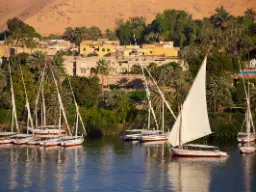 Feluki w Asuanie Feluki w Asuanie