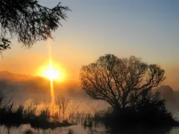 Piękna poranna atmosfera