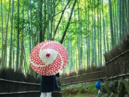 Bambusowy las w Arashiyamie, Kioto