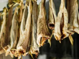 Farskański specjał, suszona ryba Farskański specjał, suszona ryba