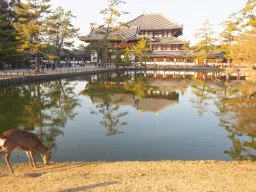 Złoty Pawilon w Kioto