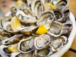 Jedzenie ostryg to jak pocałunek od morza Jedzenie ostryg to jak pocałunek od morza