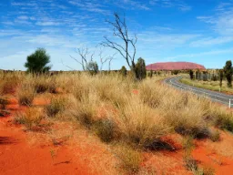 Ayers Rock zmienia kolor w zależności od pozycji słońca Ayers Rock zmienia kolor w zależności od pozycji słońca