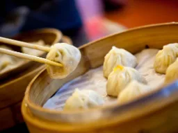 Pierogi dim sum