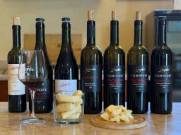 Gotowi na degustację wina u producenta Gamba w Valpolicella