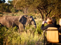 Słoń zjada 150–300 kg roślinności i pije 100–200 litrów wody dziennie Słoń zjada 150–300 kg roślinności i pije 100–200 litrów wody dziennie