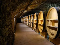 Beczki z winem w piwnicy w Châteauneuf-du-Pape