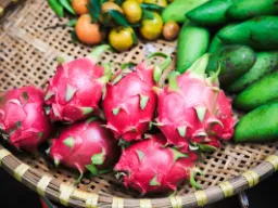 Smoczy owoc został wprowadzony do Wietnamu przez Francuzów Smoczy owoc został wprowadzony do Wietnamu przez Francuzów