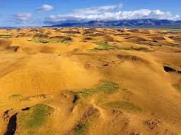 Wydmy Elsen Tasarkhai w Mongolii – znane jako „Mini-Gobi” z połączeniem pustyni i stepu