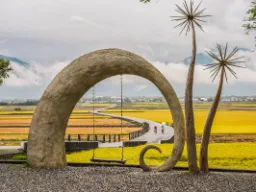 Aleja Mr. Brown w Chishang Aleja Mr. Brown w Chishang