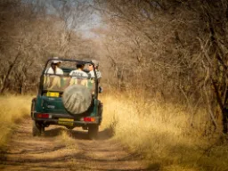 Park Narodowy Ranthambore Park Narodowy Ranthambore