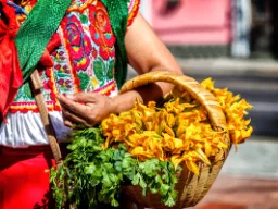 Kosz pełen kwiatów cukinii i świeżej kolendry Kosz pełen kwiatów cukinii i świeżej kolendry