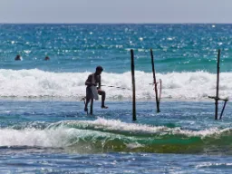 Połów na szczudłach to stara tradycja na Sri Lance