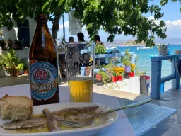 Wizyta w tawernie w Tolo Wizyta w tawernie w Tolo