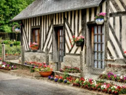 W Calvados W Calvados