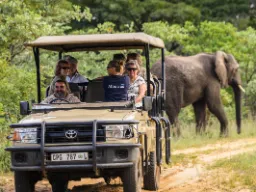 W jeepie mieści się 9 osób plus kierowca i przewodnik W jeepie mieści się 9 osób plus kierowca i przewodnik