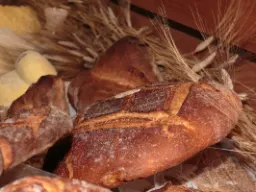 W Altamurze piecze się chleb najwyższej jakości