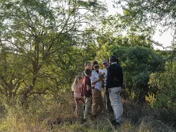 Patrzy się i słucha Patrzy się i słucha