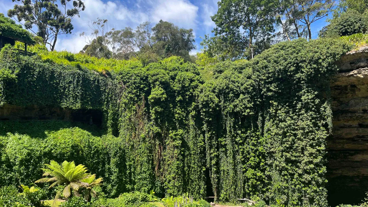 Umpherston Sinkhole, znana również jako Sunken Garden, w Mount Gambier Umpherston Sinkhole, znana również jako Sunken Garden, w Mount Gambier