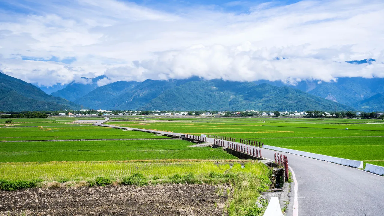Z Chishang w prowincji Taitung Z Chishang w prowincji Taitung