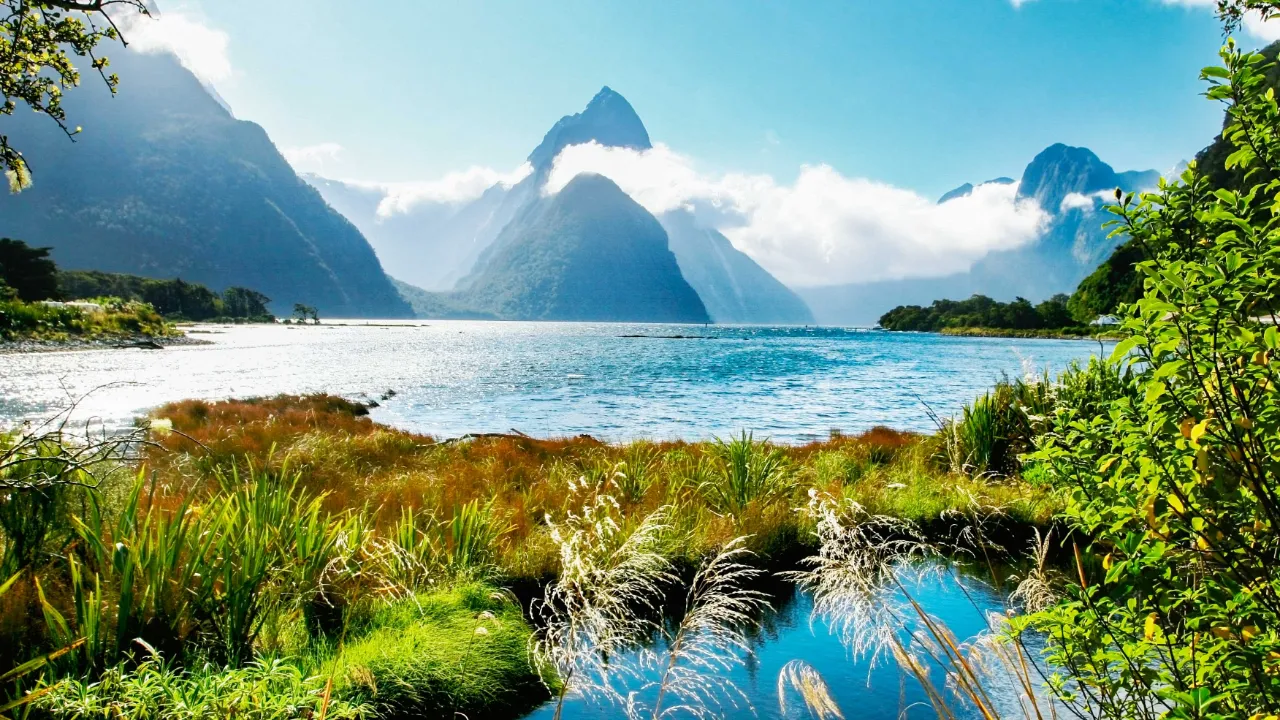 Milford Sound w Fiordland National Park z Mitre Peak w tle