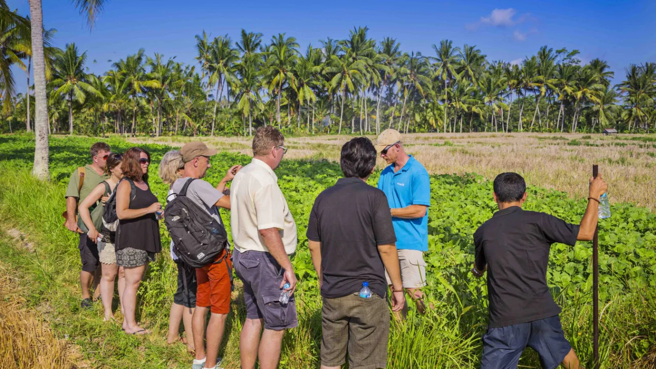 Wycieczka z przewodnikiem przez pola ryżowe w pobliżu Ubud