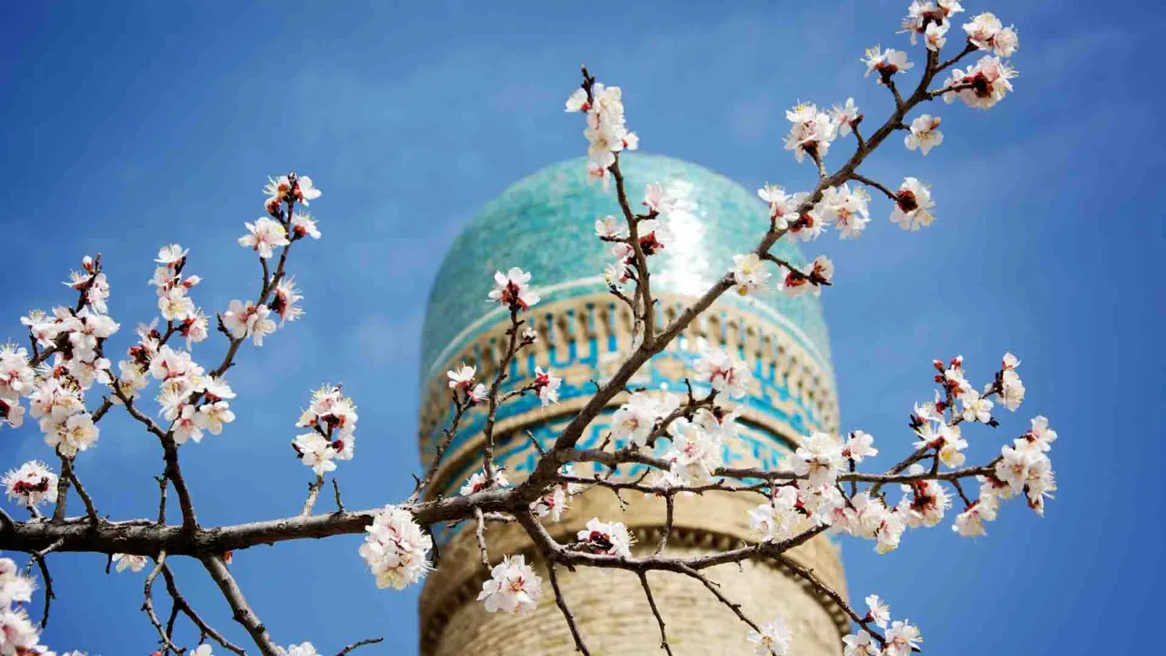 Minaret z turkusowymi dekoracjami z płytek w Bucharze, Uzbekistan Minaret z turkusowymi dekoracjami z płytek w Bucharze, Uzbekistan
