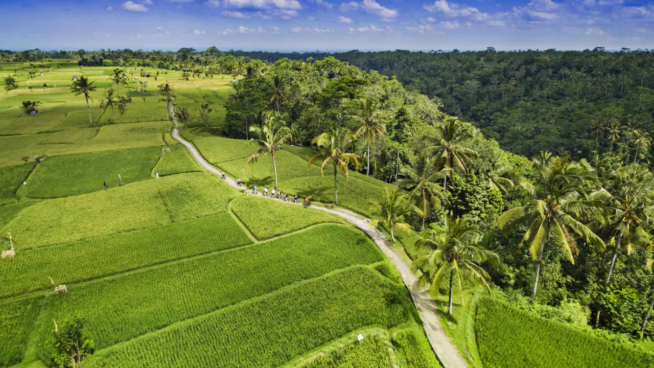 Na wycieczce rowerowej przez pola ryżowe wokół Ubud