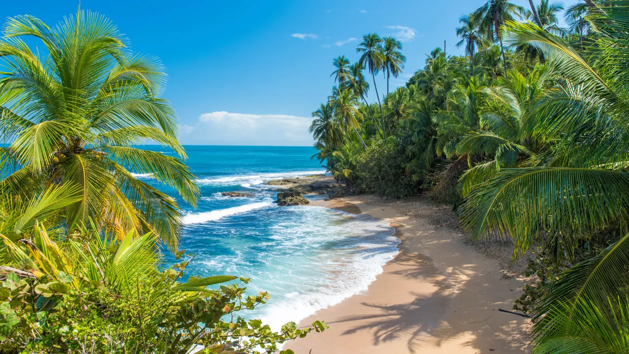 Dziewicza plaża w Puerto Viejo Dziewicza plaża w Puerto Viejo