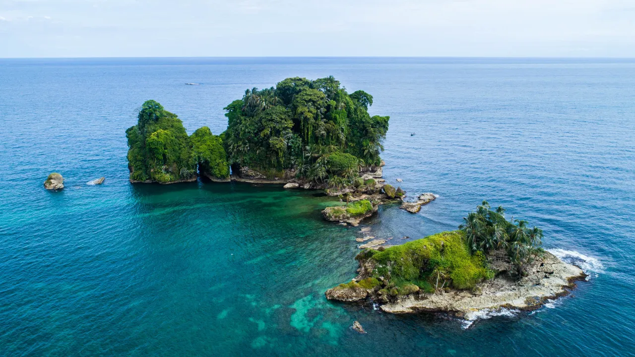 Bird Island koło Bocas del Toro ma bogate życie ptaków Bird Island koło Bocas del Toro ma bogate życie ptaków