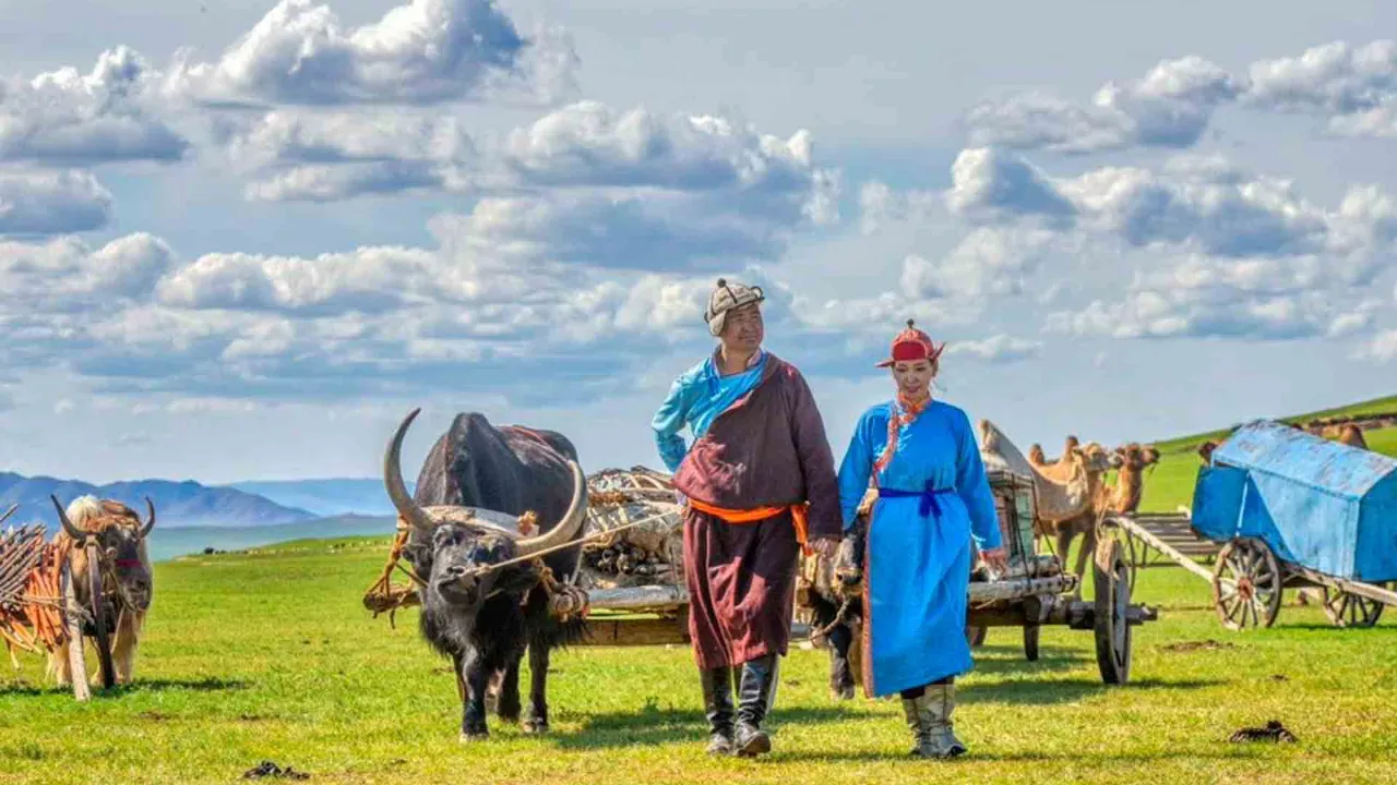 Mongołowie nomadzi z wozami zaprzężonymi w woły na stepie Mongołowie nomadzi z wozami zaprzężonymi w woły na stepie