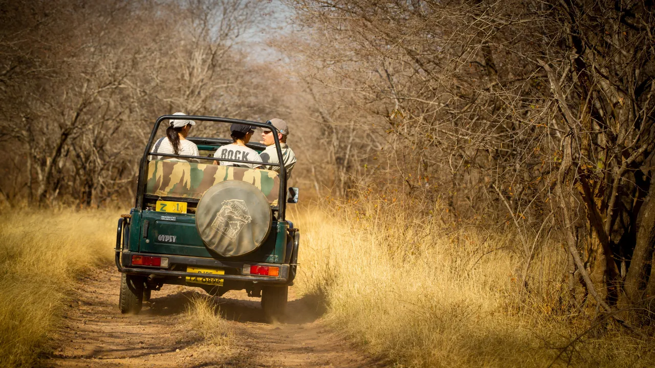 Park Narodowy Ranthambore