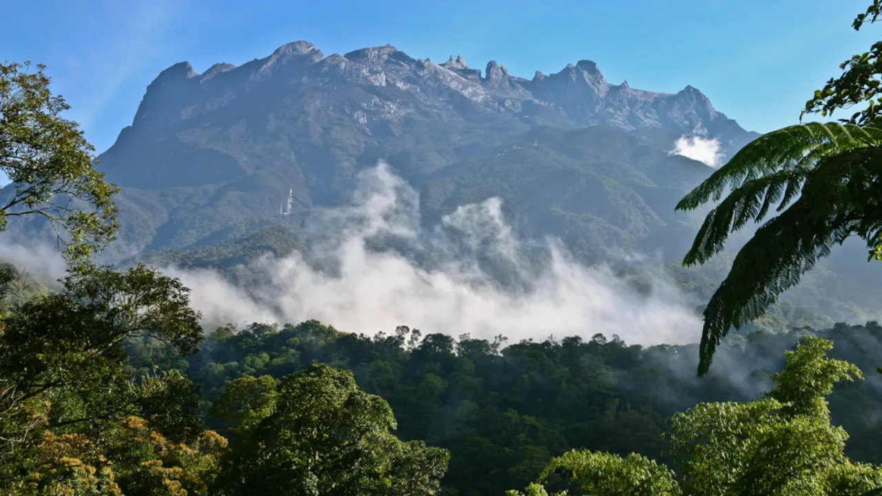 Mount Kinabalu majestatycznie wznosi się nad bujnym tropikalnym lasem deszczowym Borneo