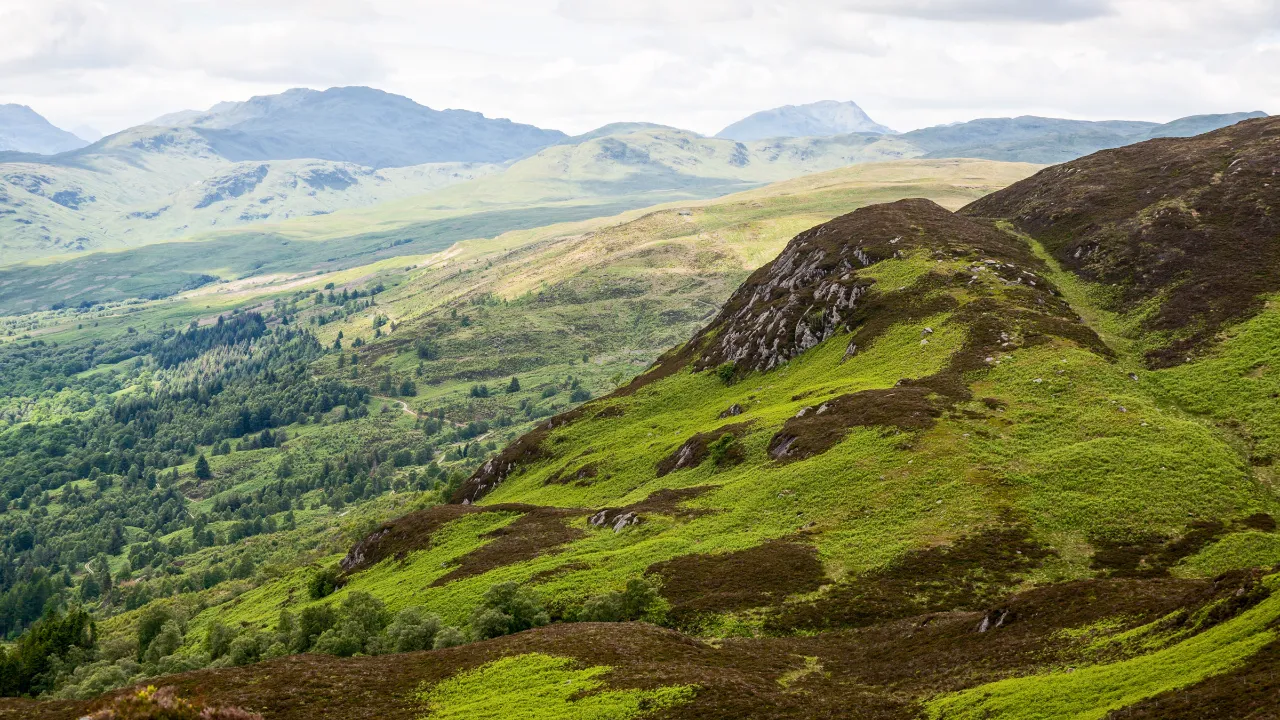Park Narodowy Trossachs Park Narodowy Trossachs