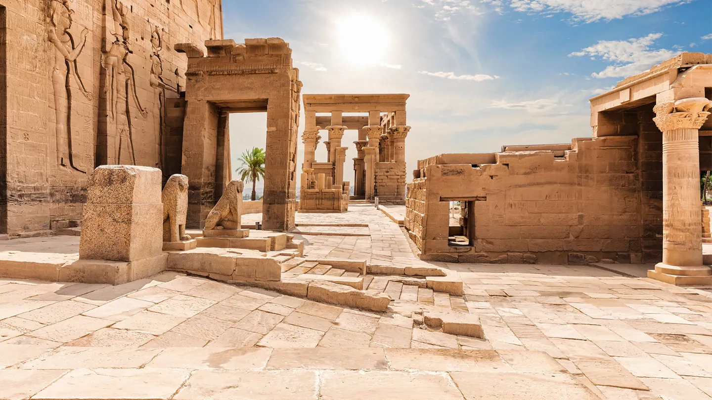 W intelligence overview