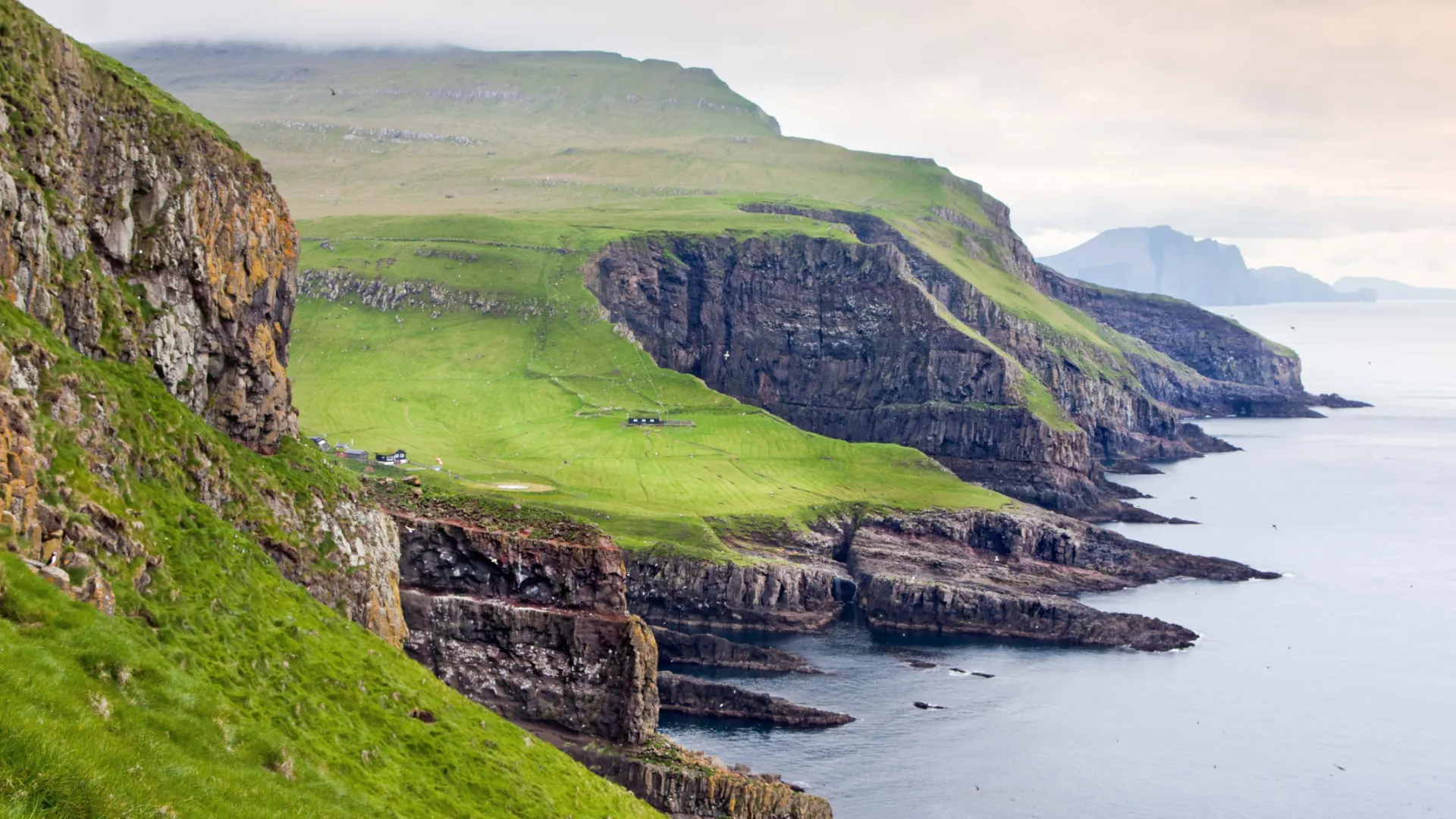 Dzika natura i nieskazitelne piękno