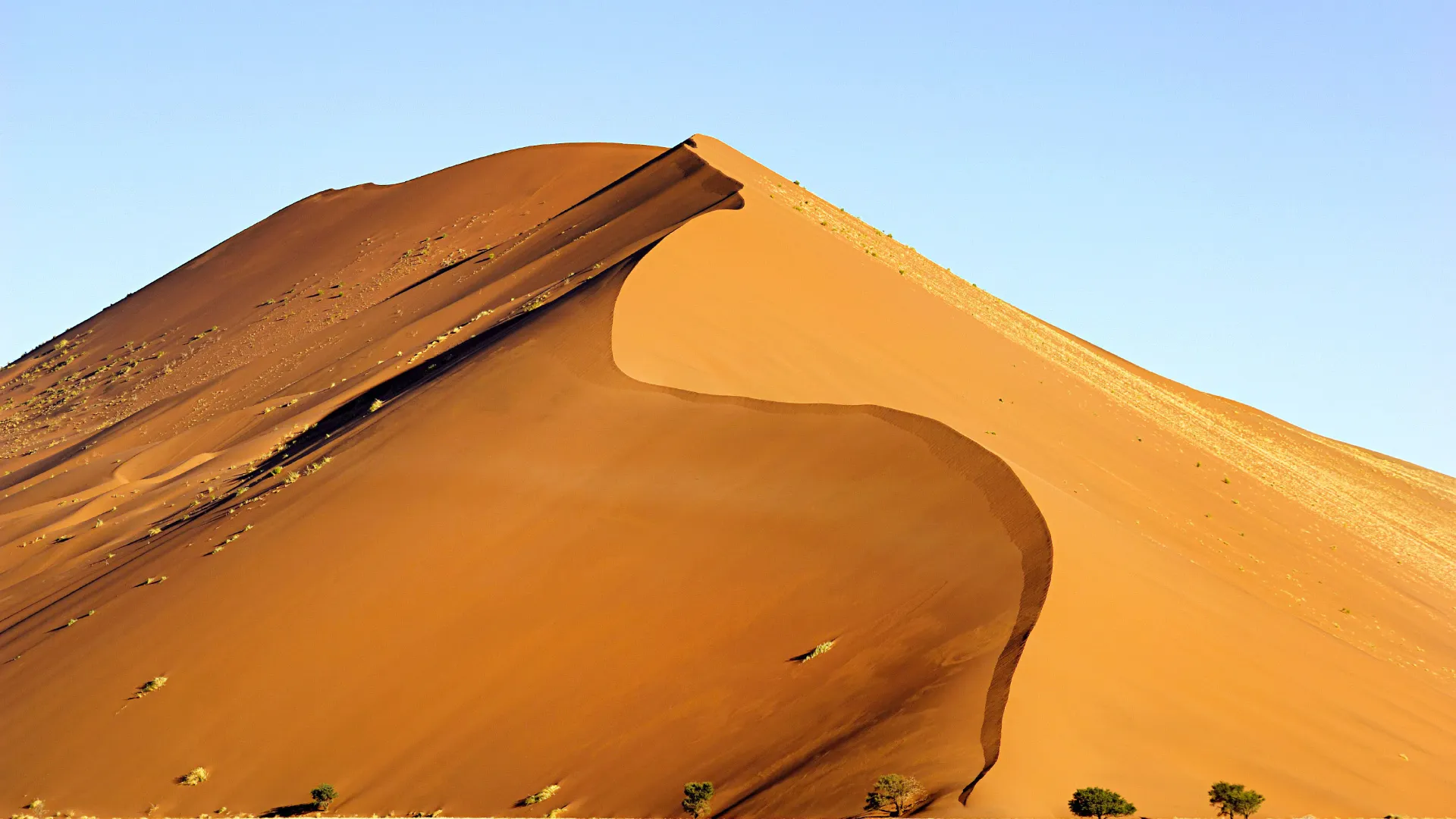 Jedna z kultowych czerwonych wydm Sossusvlei majestatycznie wznosi się ku czystemu niebu Jedna z kultowych czerwonych wydm Sossusvlei majestatycznie wznosi się ku czystemu niebu